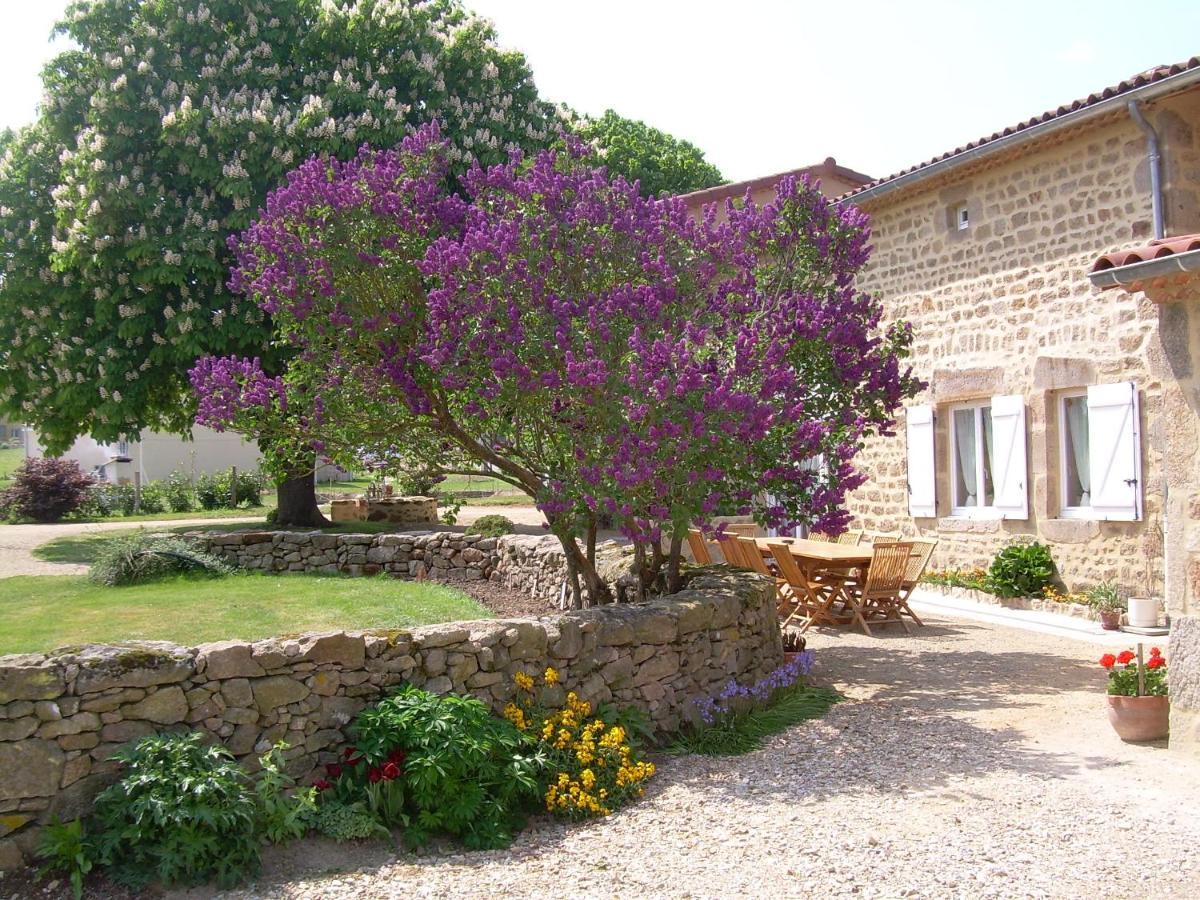 Saint-Flour  Chez Tiane Puy De Dome Bed & Breakfast エクステリア 写真